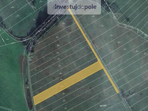 Prodej louky, Plchovice - Smetana, 5119 m2