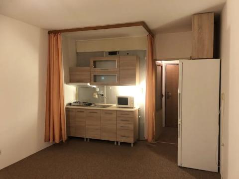 Pronájem bytu 1+kk, Kamenice nad Lipou, Za Kult. domem, 27 m2