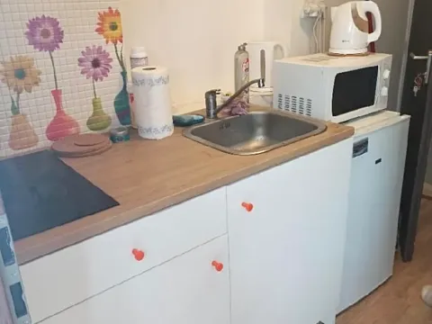 Pronájem bytu 1+1, Praha - Nusle, Táborská, 25 m2