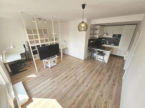 Pronájem bytu 2+kk, Praha - Žižkov, V zahrádkách, 56 m2