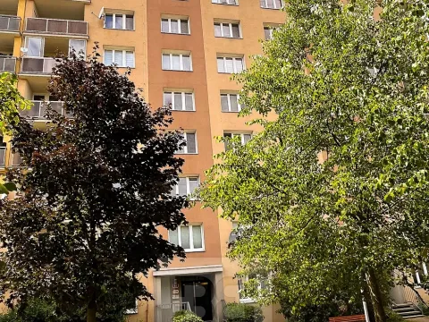 Pronájem bytu 2+1, Plzeň, Pod Chlumem, 58 m2