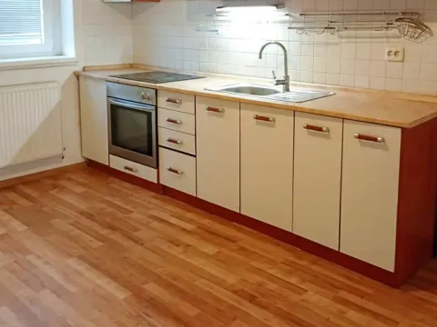 Pronájem bytu 1+1, Chomutov, Karla Buriana, 47 m2