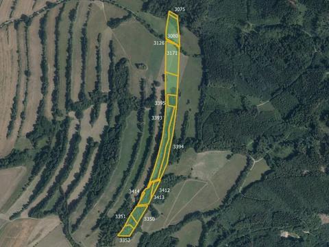 Prodej louky, Nový Malín, 47472 m2