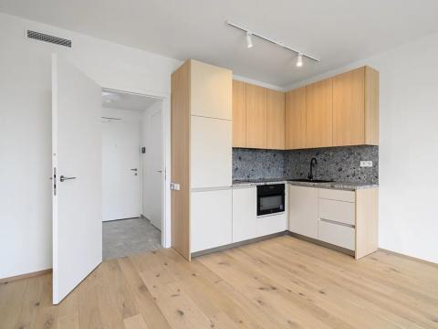 Pronájem bytu 1+kk, Praha - Modřany, Československého exilu, 29 m2