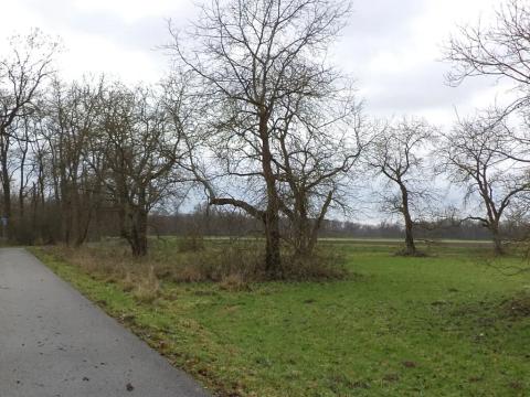 Dražba pozemku, Hořín, 3643 m2