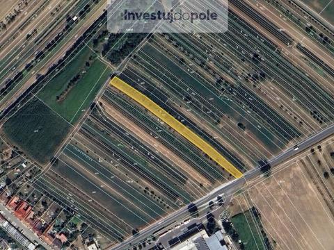 Prodej pozemku, Šardice, 2149 m2