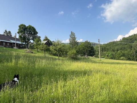 Prodej pozemku, Zlatá Olešnice, 1101 m2