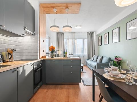 Pronájem bytu 2+kk, Praha - Vysočany, Kolbenova, 60 m2