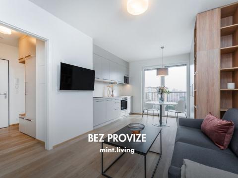 Pronájem bytu 1+kk, Plzeň - Skvrňany, Františka Kováříka, 39 m2