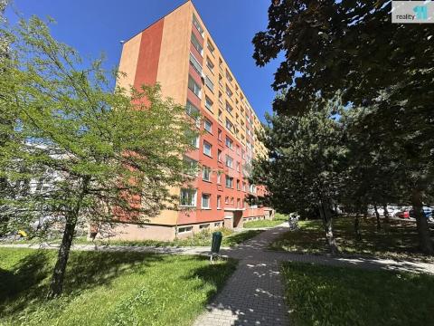Pronájem bytu 3+1, Hranice, Nová, 68 m2