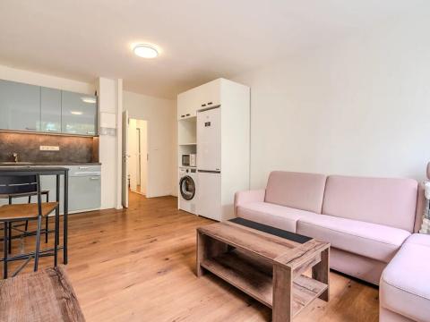 Pronájem bytu 1+kk, Praha - Modřany, Semická, 29 m2