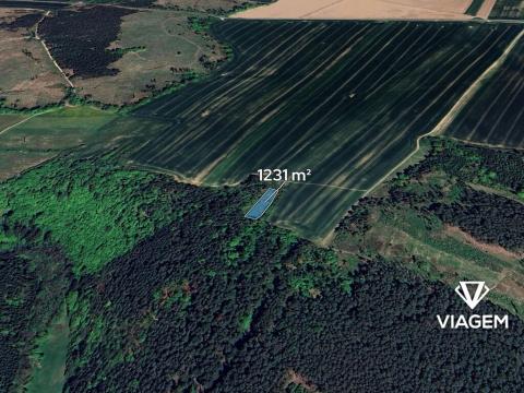 Prodej lesa, Svatoslav, 1231 m2