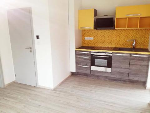 Pronájem bytu 2+kk, Plzeň, Slovanské údolí, 35 m2