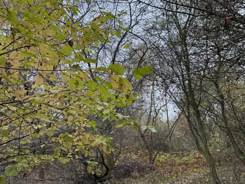 Prodej pozemku, Praha, 9174 m2