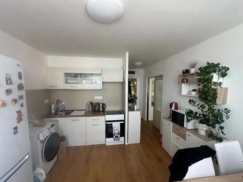 Pronájem bytu 1+1, Plzeň, Manětínská, 40 m2