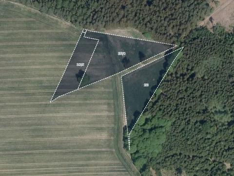 Prodej podílu louky, Číhošť, 1256 m2
