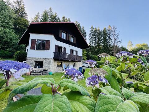 Prodej rodinného domu, Loučovice, 361 m2