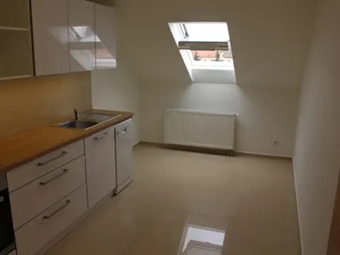 Pronájem bytu 3+1, Prostějov, Plumlovská, 100 m2