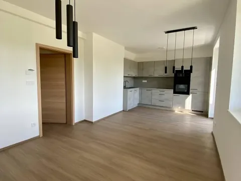 Pronájem bytu 3+kk, Drahotěšice, 66 m2