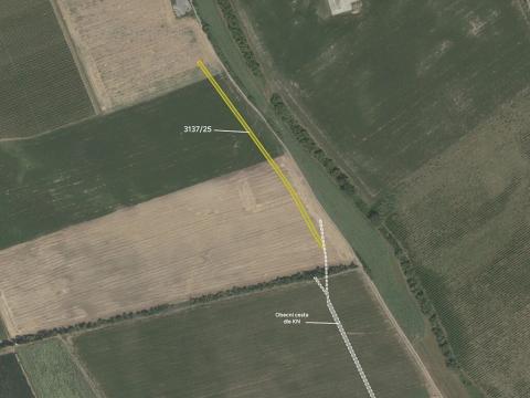 Prodej pole, Prušánky, 4206 m2