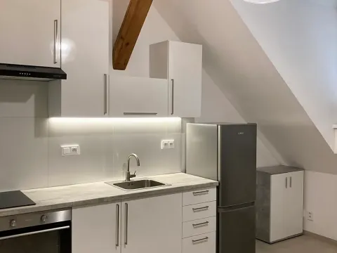Pronájem bytu 1+kk, Praha - Košíře, Vrchlického, 23 m2