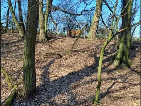 Prodej lesa, Mistřice, 1791 m2