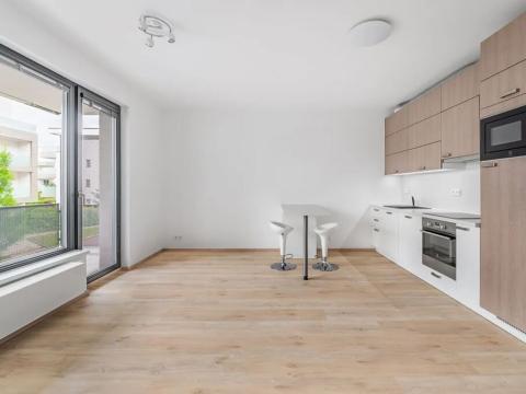 Pronájem bytu 1+kk, Praha - Jinonice, Kloudova, 33 m2