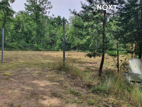 Prodej zahrady, Bdeněves, 1001 m2
