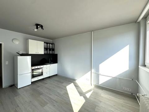 Pronájem bytu 1+kk, Praha - Střížkov, Děčínská, 27 m2