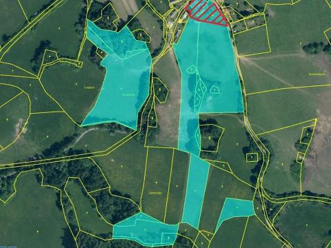 Prodej pole, Kolinec, 75440 m2