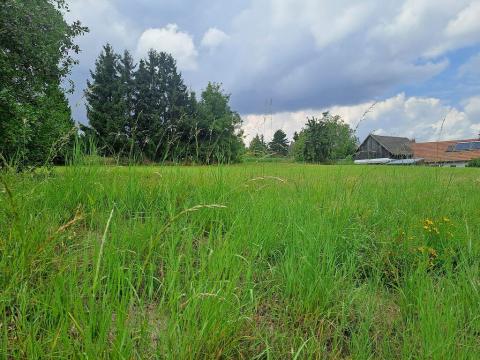 Prodej pozemku, Češov, 1189 m2