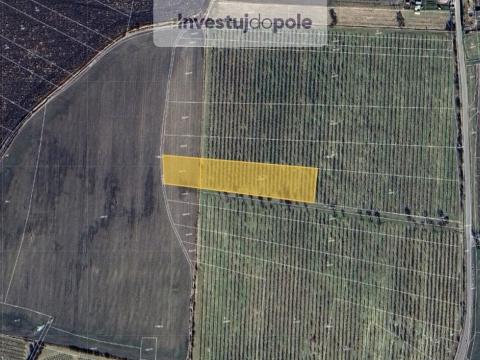 Prodej pole, Liběšice - Soběnice, 6302 m2