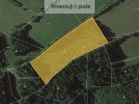 Prodej lesa, Cotkytle, 97502 m2