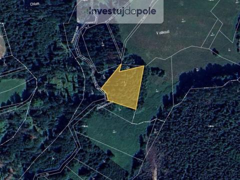 Prodej lesa, Prosíčka - Dolní Prosíčka, 4042 m2