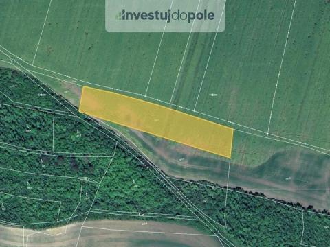 Prodej pole, Chožov - Třtěno, 5755 m2