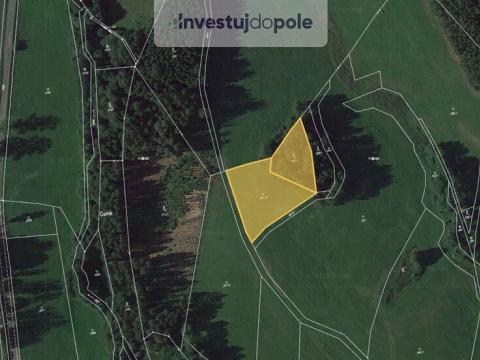 Prodej louky, Stará Paka - Krsmol, 4007 m2