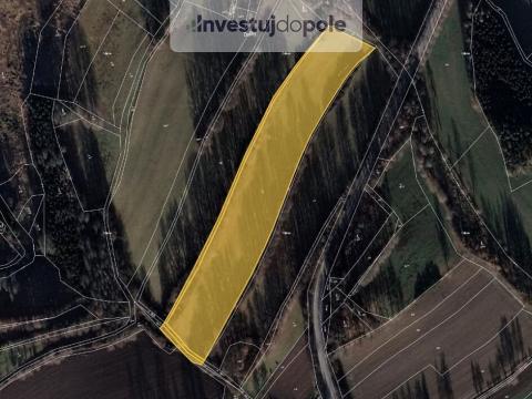 Prodej louky, Pelhřimov - Čakovice, 3809 m2