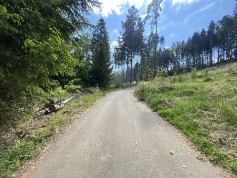Prodej lesa, Kladruby, 287 m2