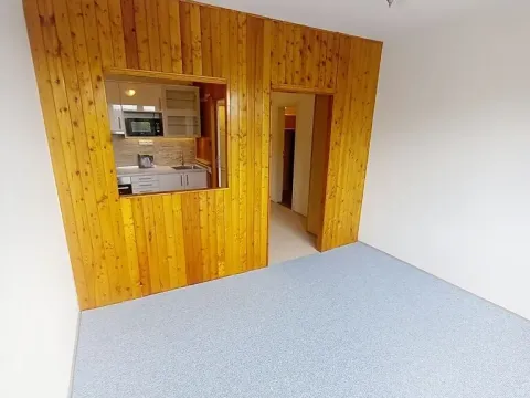 Pronájem bytu 1+kk, Praha - Hodkovičky, Pod lysinami, 30 m2