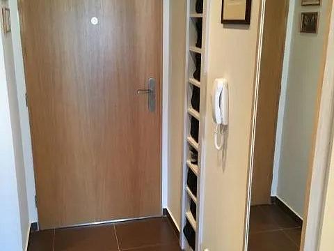 Pronájem bytu 2+kk, Praha - Podolí, Levá, 42 m2