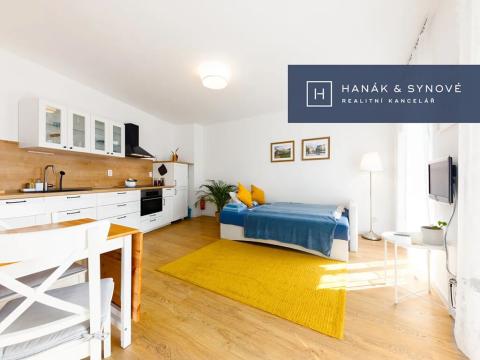 Pronájem bytu 1+kk, Brno, Francouzská, 27 m2