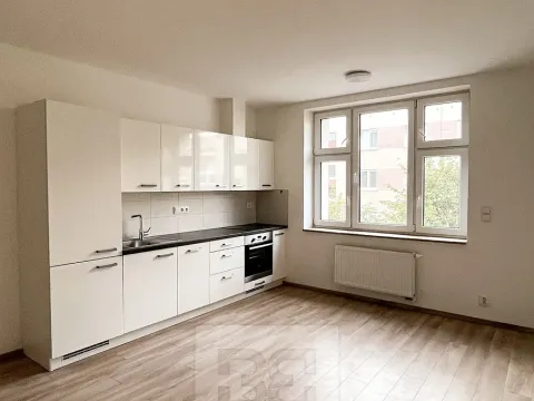 Pronájem bytu 1+kk, Plzeň, Živnostenská, 28 m2
