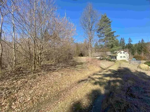 Dražba louky, Čkyně, 326 m2