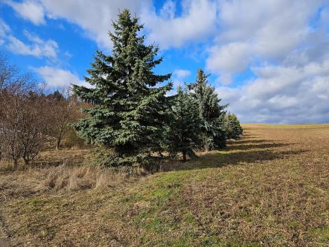 Dražba pozemku, Brno, 994 m2