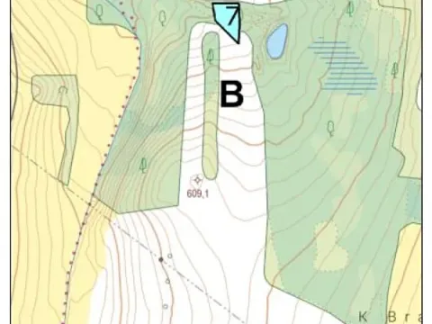 Prodej lesa, Vyskytná, 665 m2