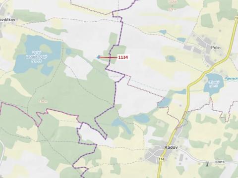 Dražba lesa, Hradiště, 1083 m2