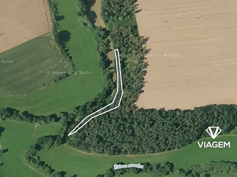 Prodej podílu lesa, Čenkov u Bechyně, 721 m2