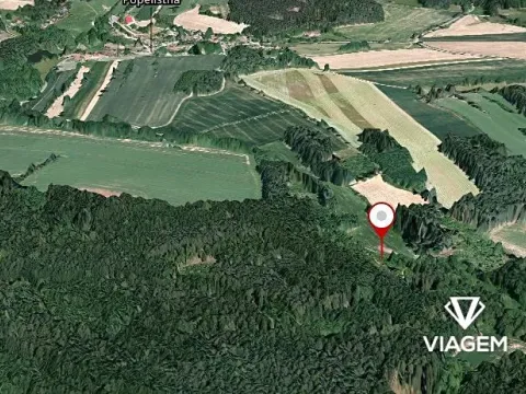 Prodej lesa, Červená Řečice, 1252 m2