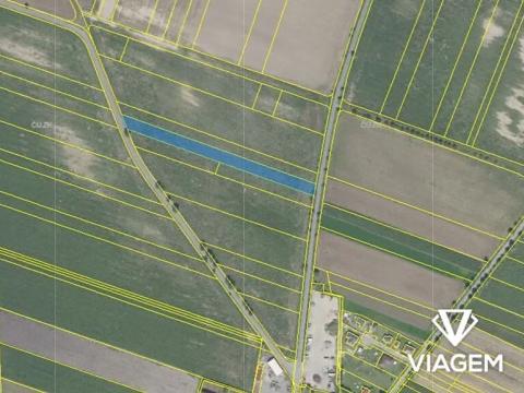 Prodej podílu pole, Radovesnice II, 1846 m2