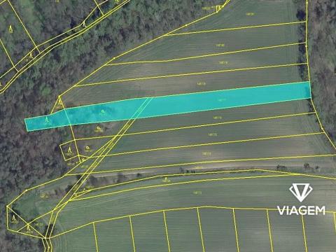 Prodej podílu pole, Martiněves, 5948 m2